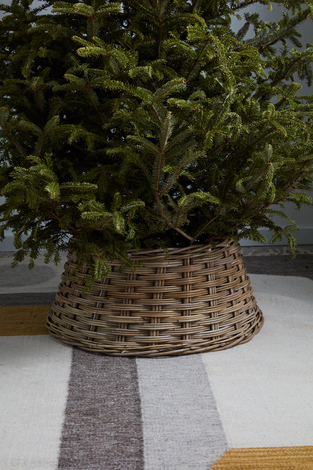 Abundance Tree Collar