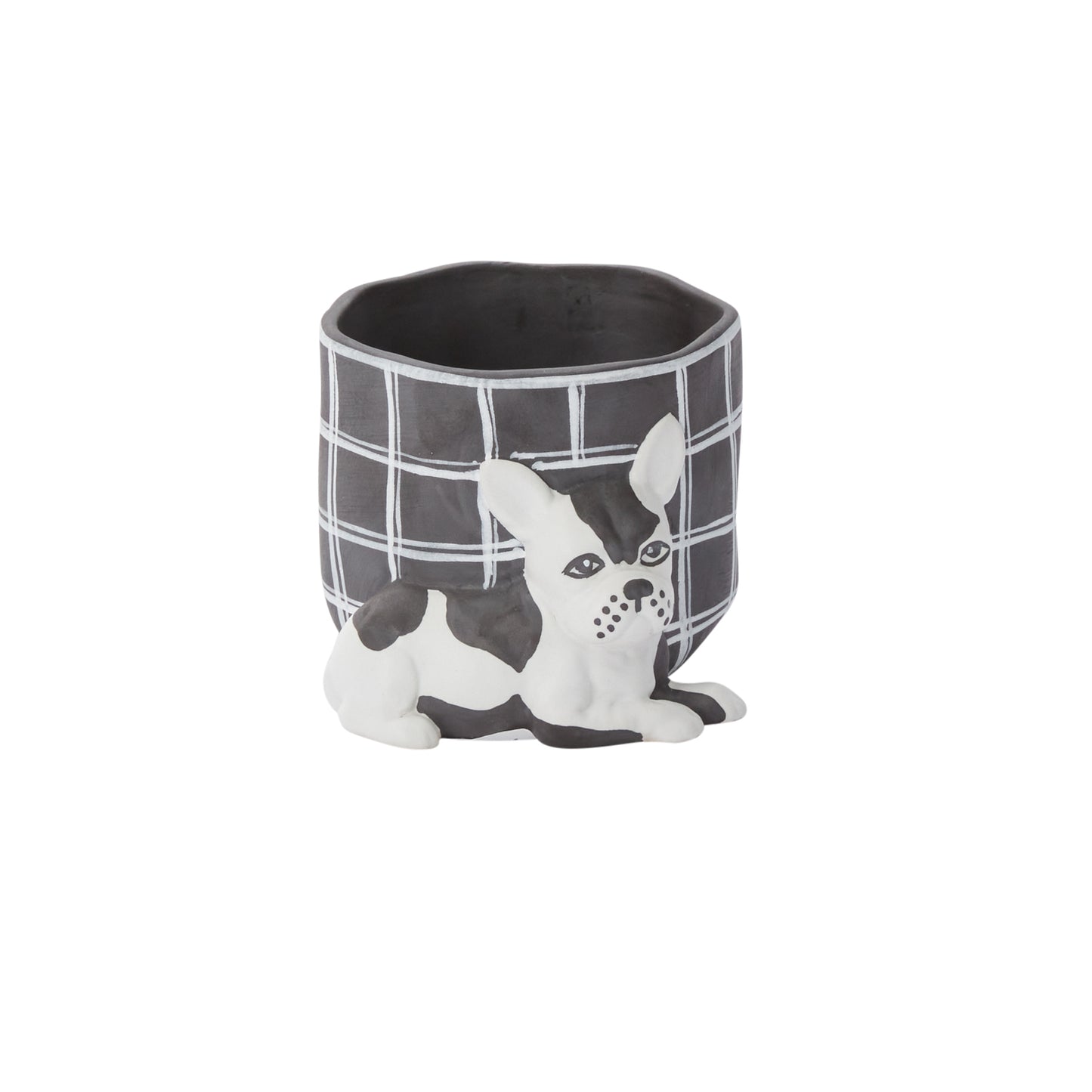 Pampered Pet Pot