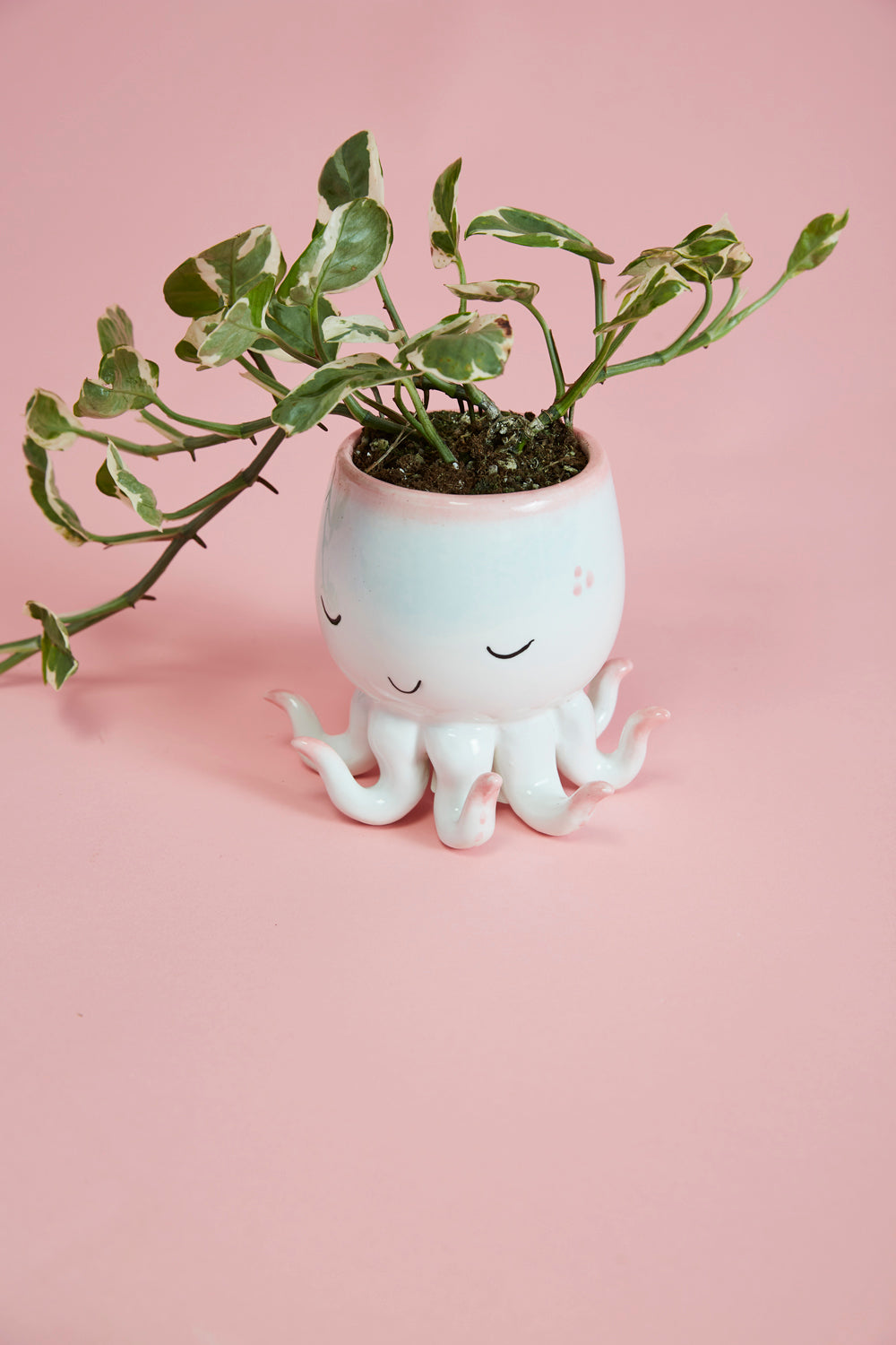 Open Arms Octopus Pot