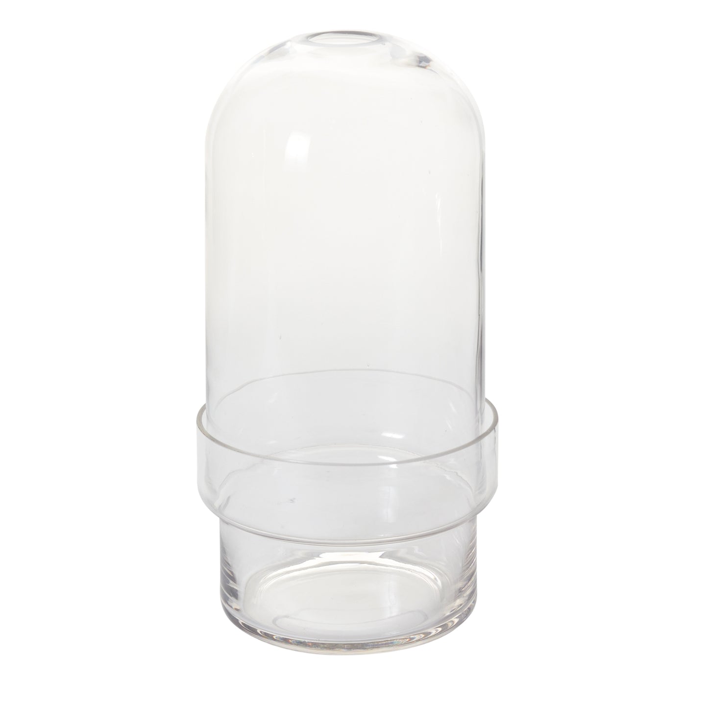 Griffith Terrarium