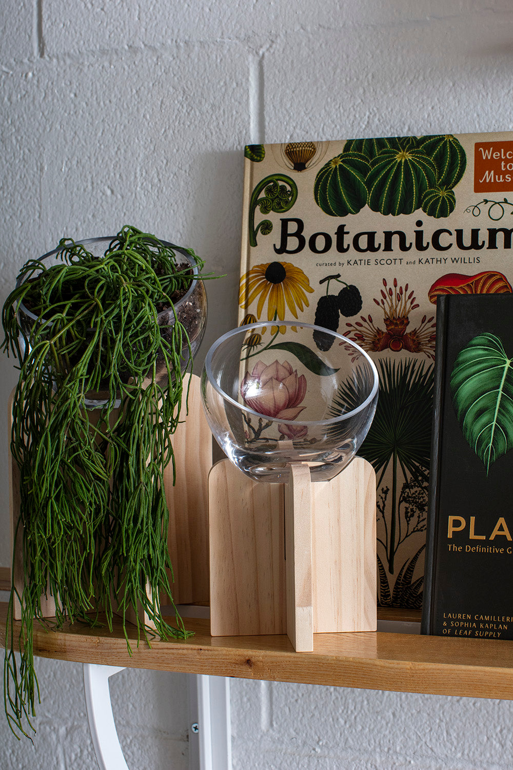 Gazer Terrarium