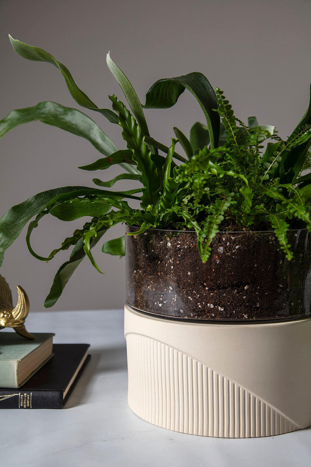 Plinth Terrarium