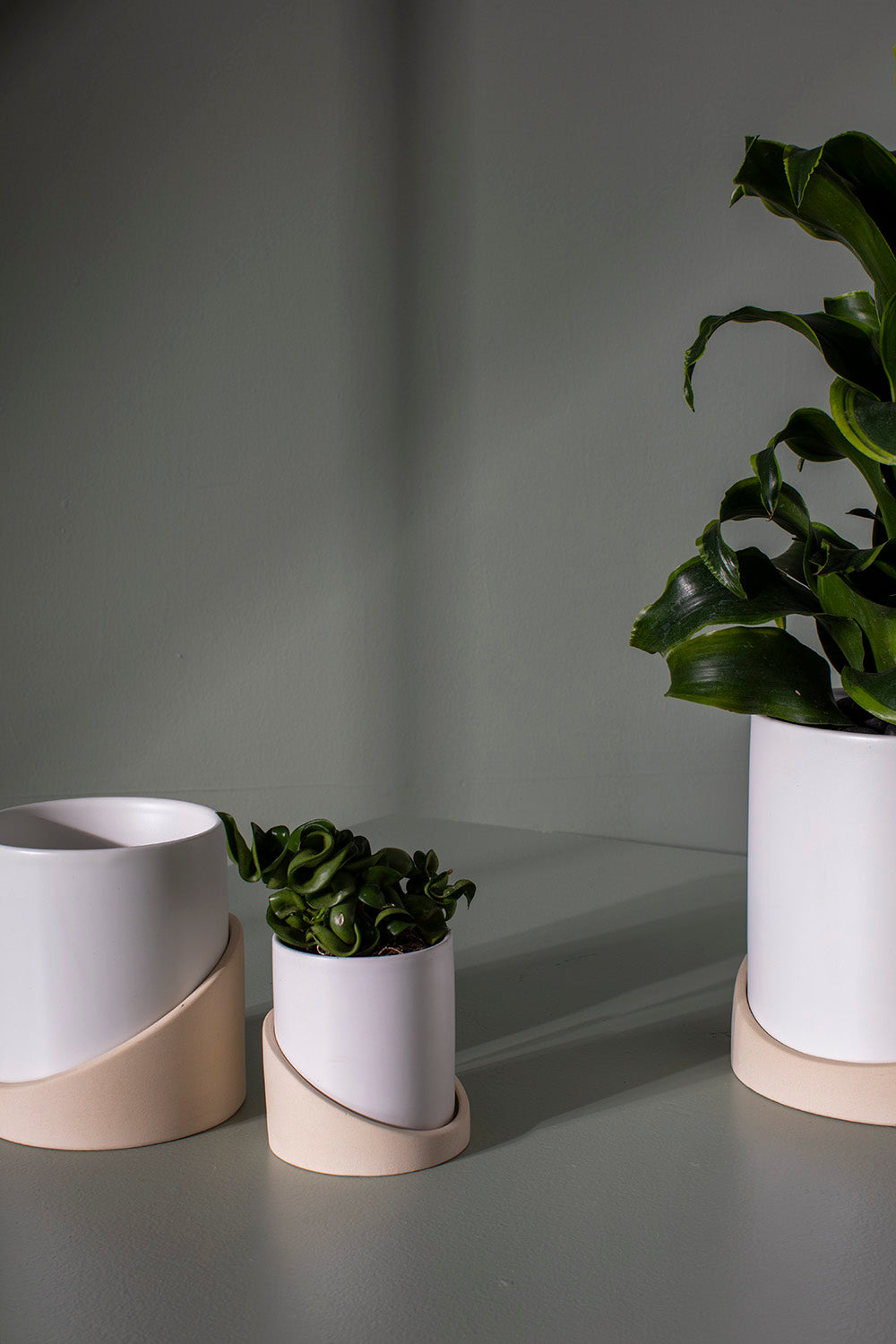 Brisbane Pot