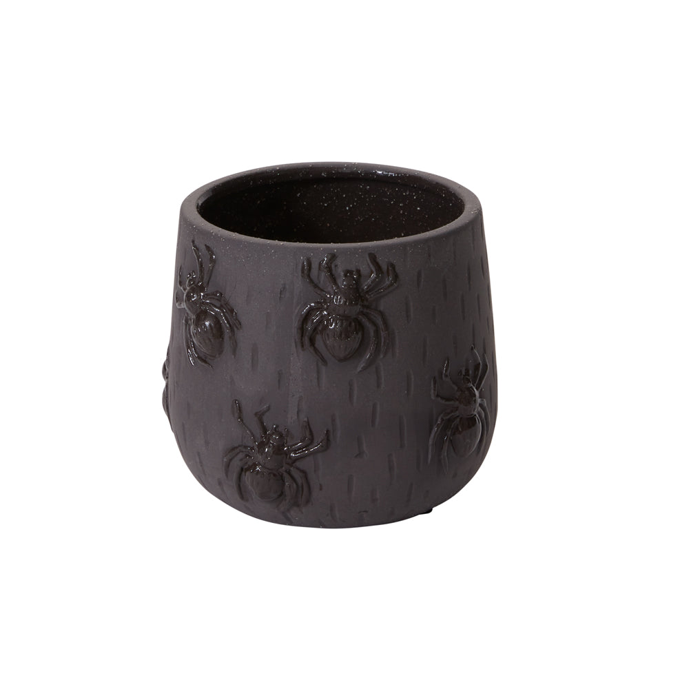 Scuttling Spiders Collection