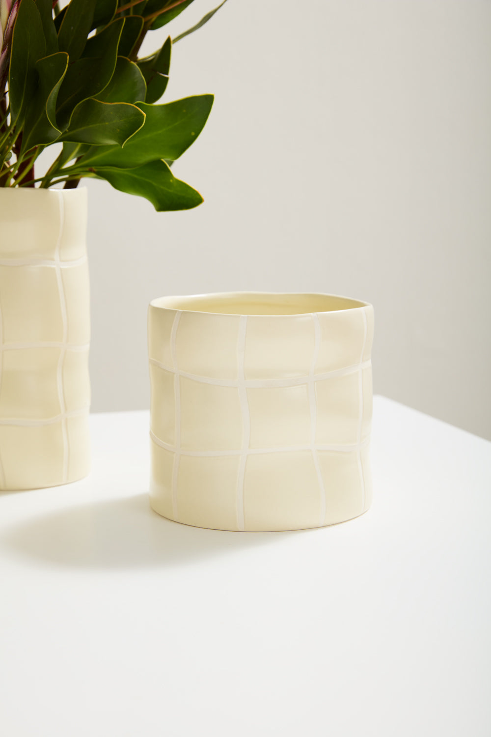 Maison Collection