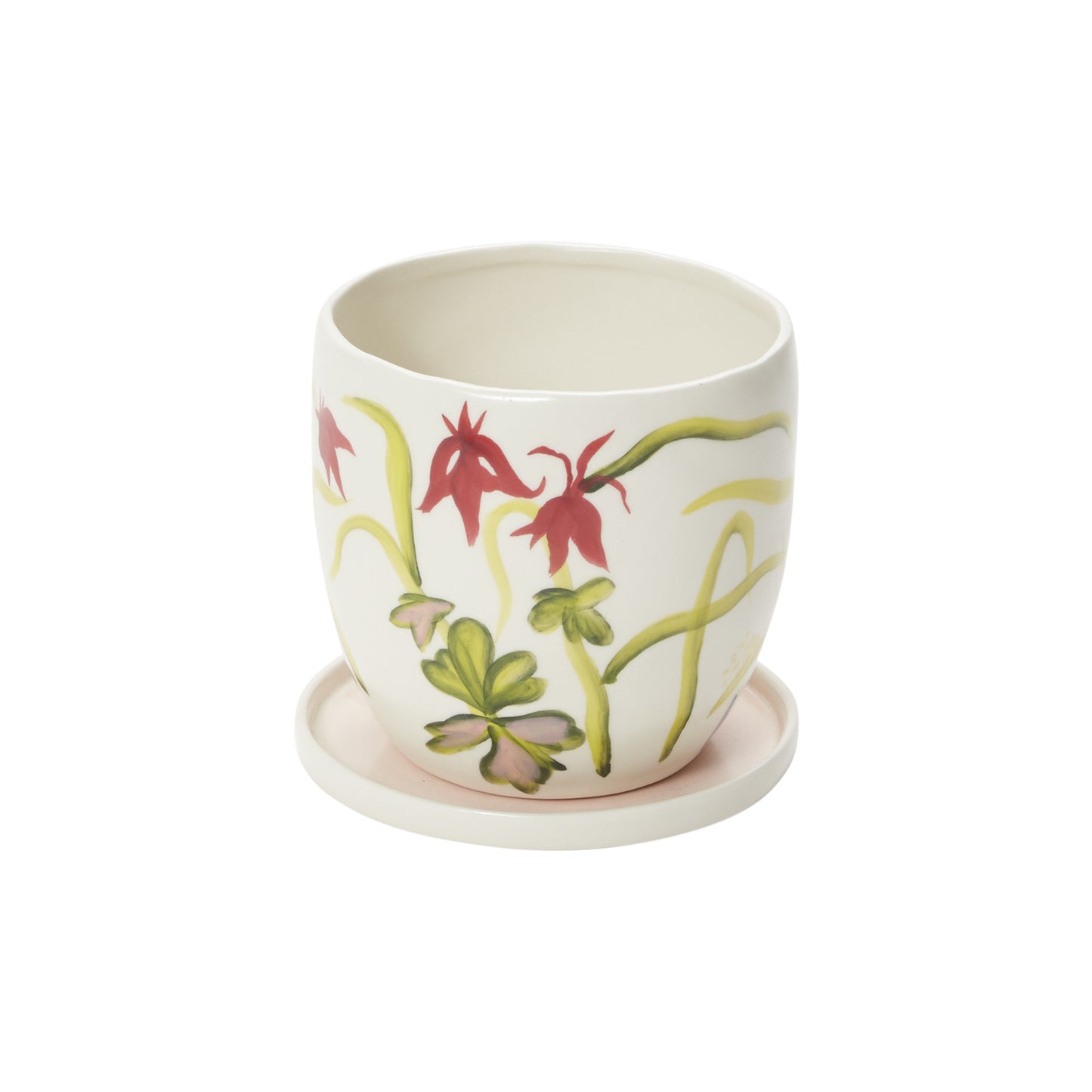 Wild Meadow Collection