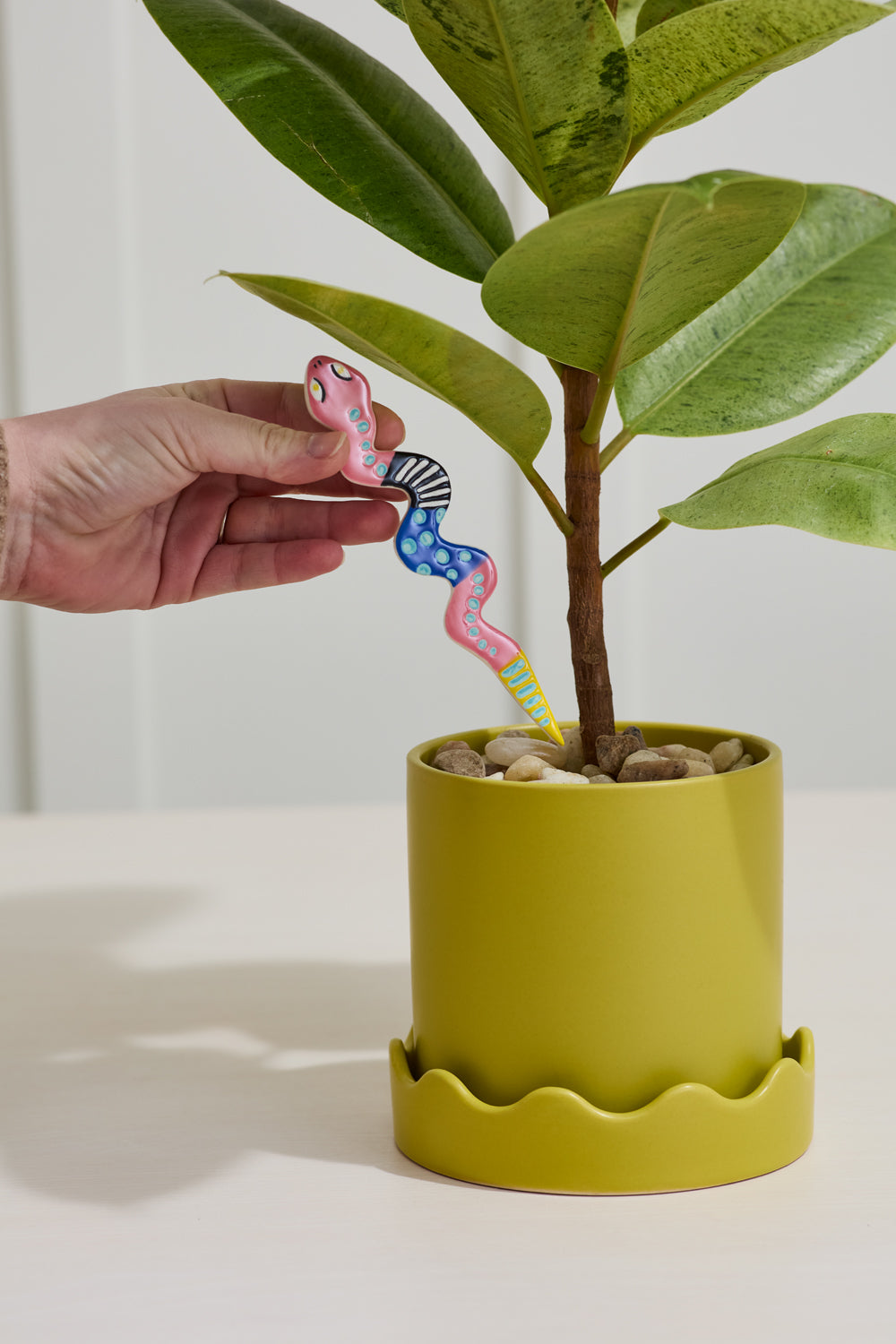 Wiggle Plant Stick