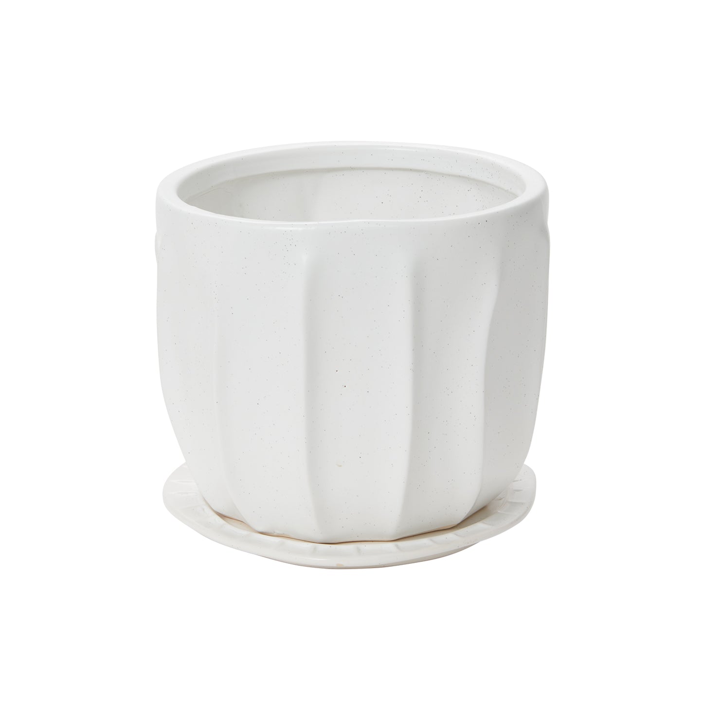Draken Pot