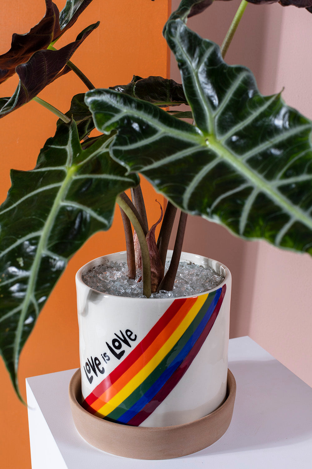 Love is Love Pot