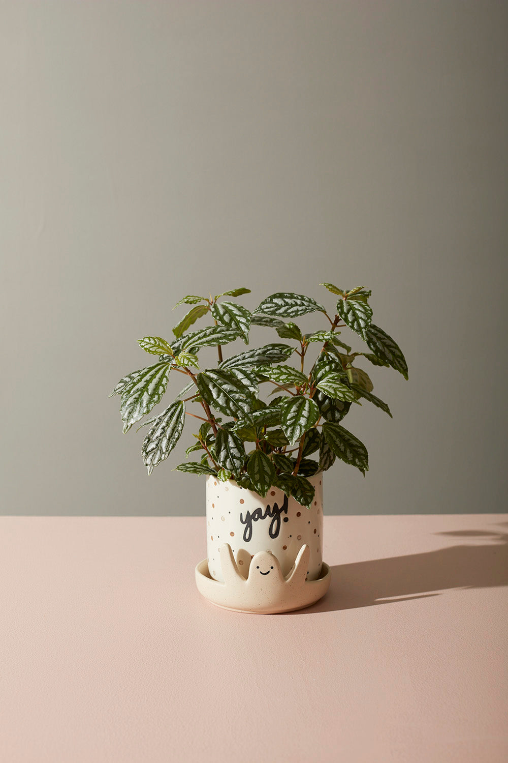 Yay! Pot