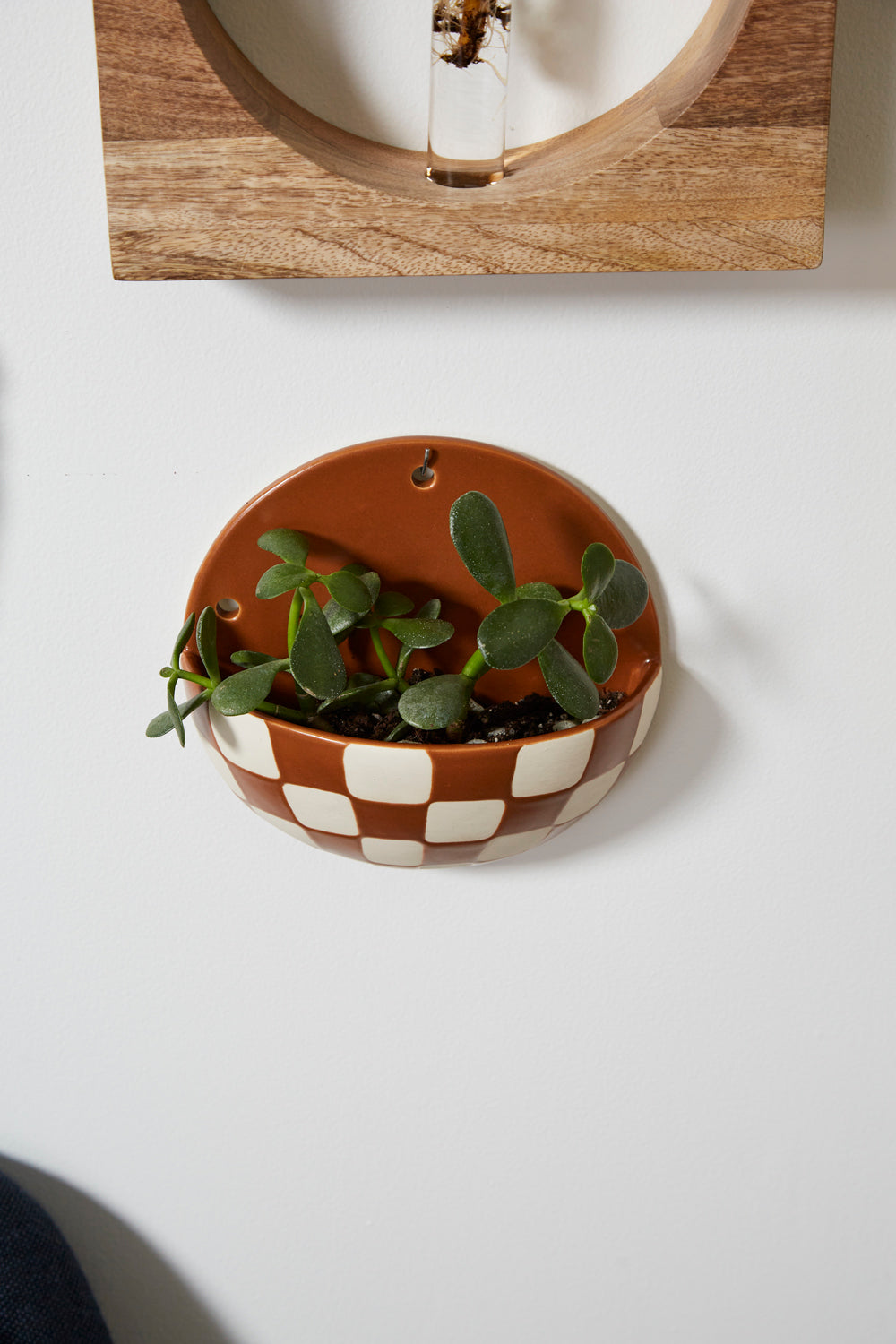 Doren Wall Planter