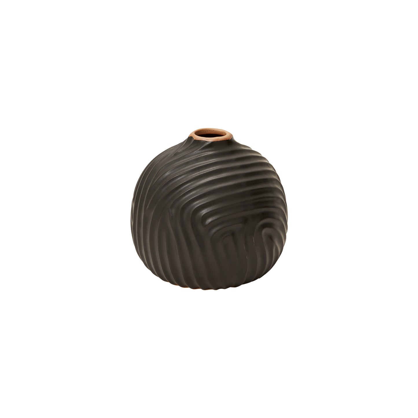Zeno Collection