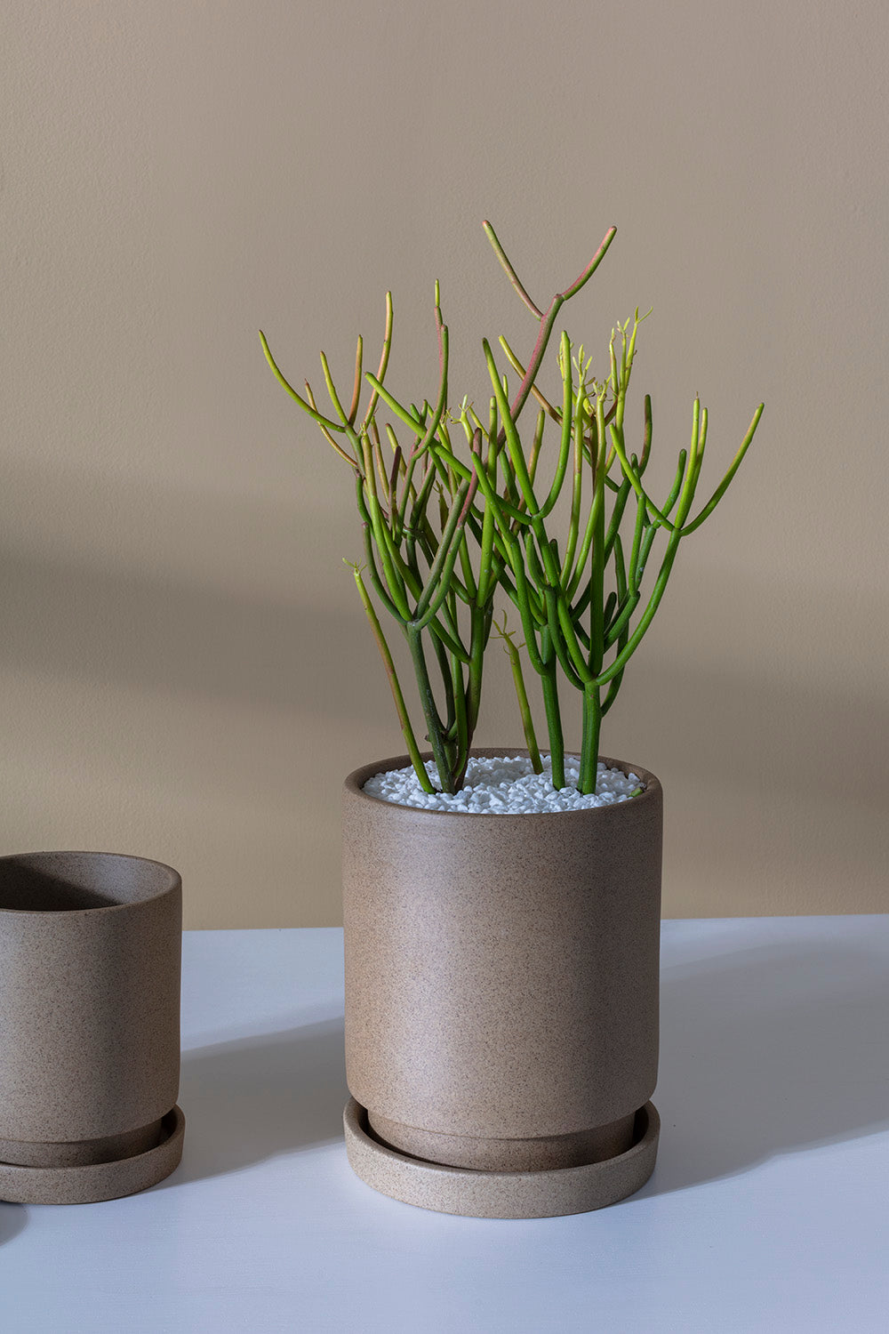 Imogen Pot