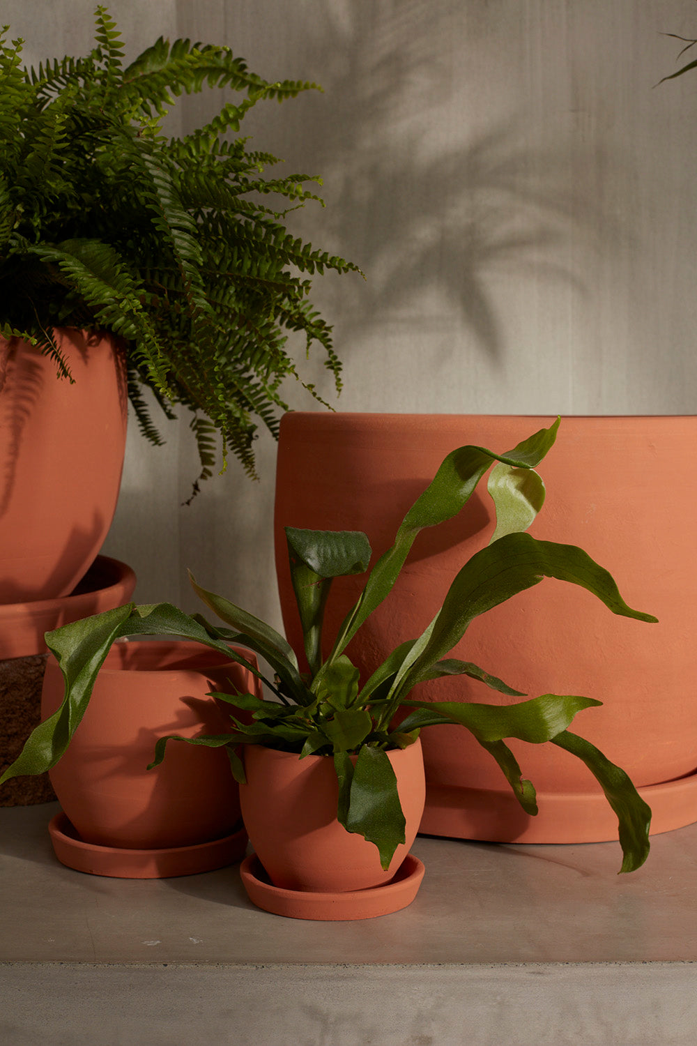 Baden Pot