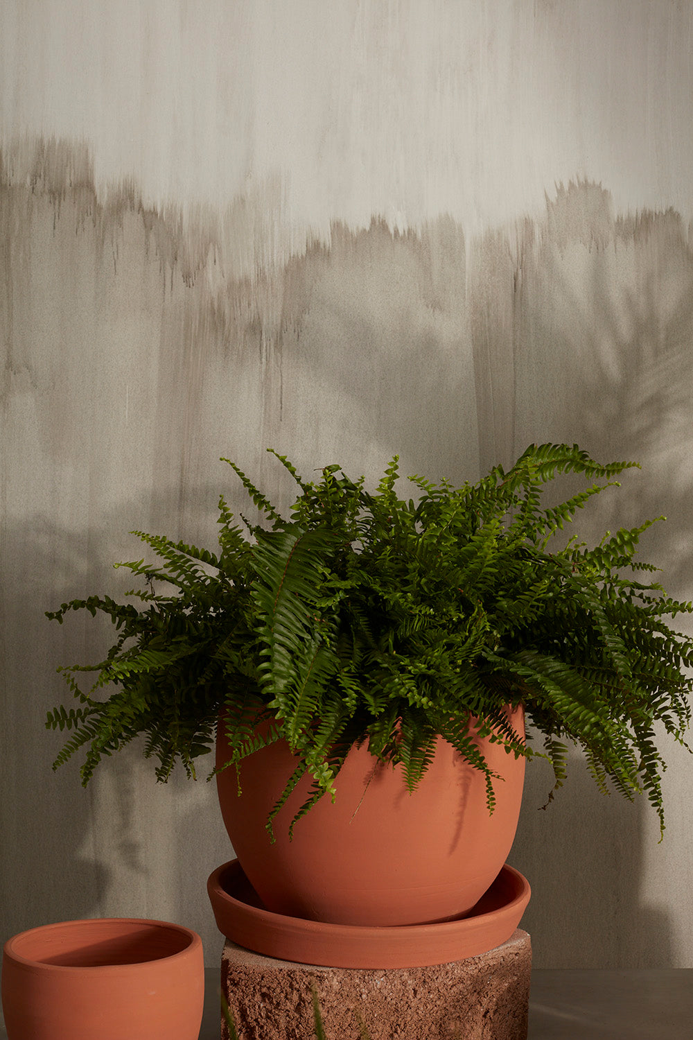 Baden Pot