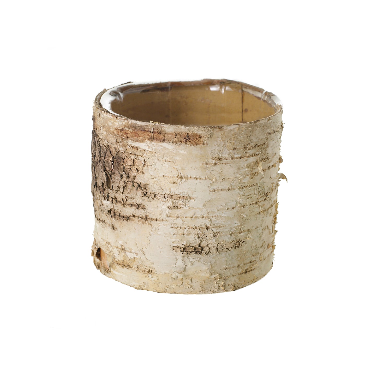 Birch Cylinder