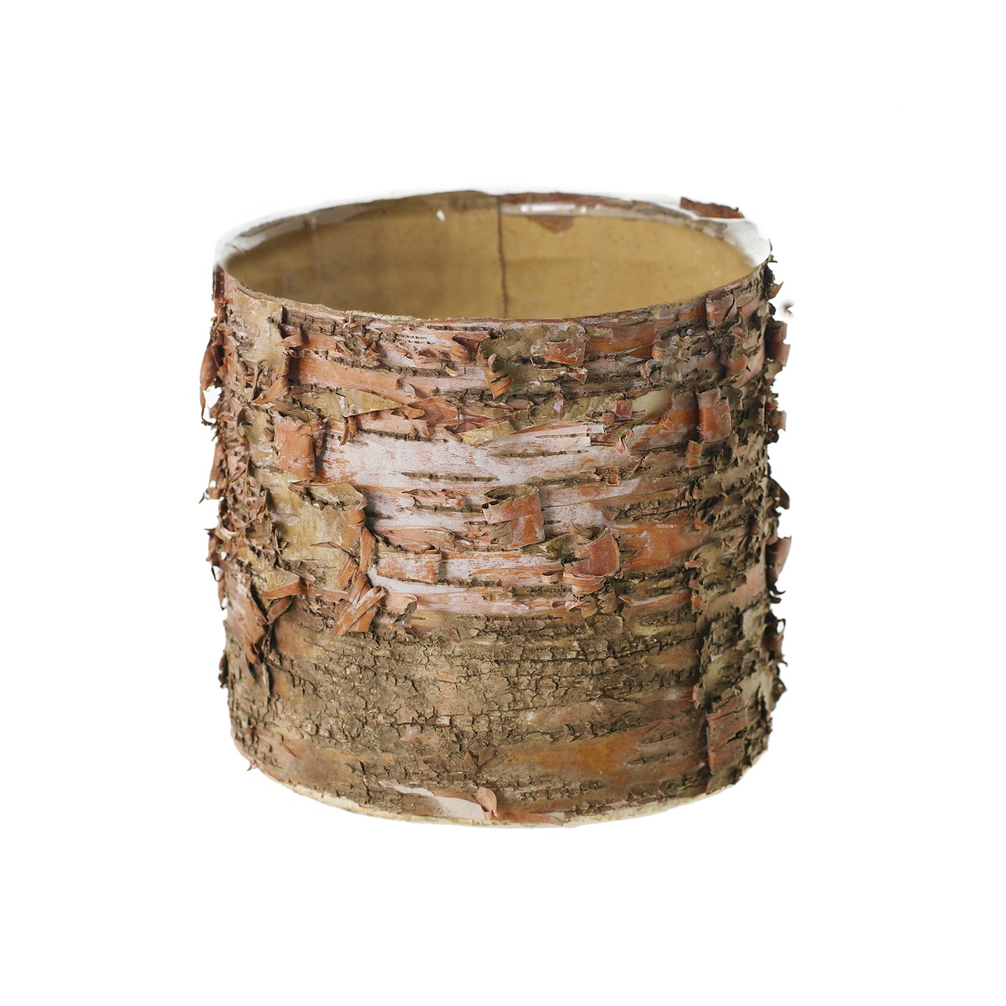 Birch Cylinder