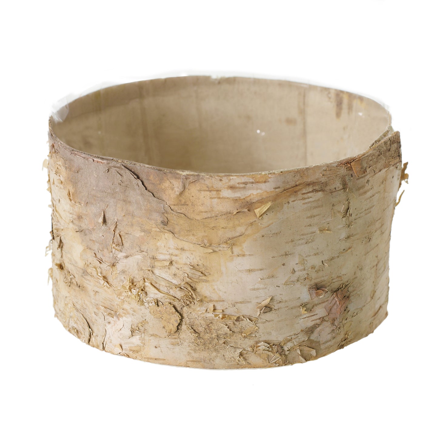 Birch Cylinder