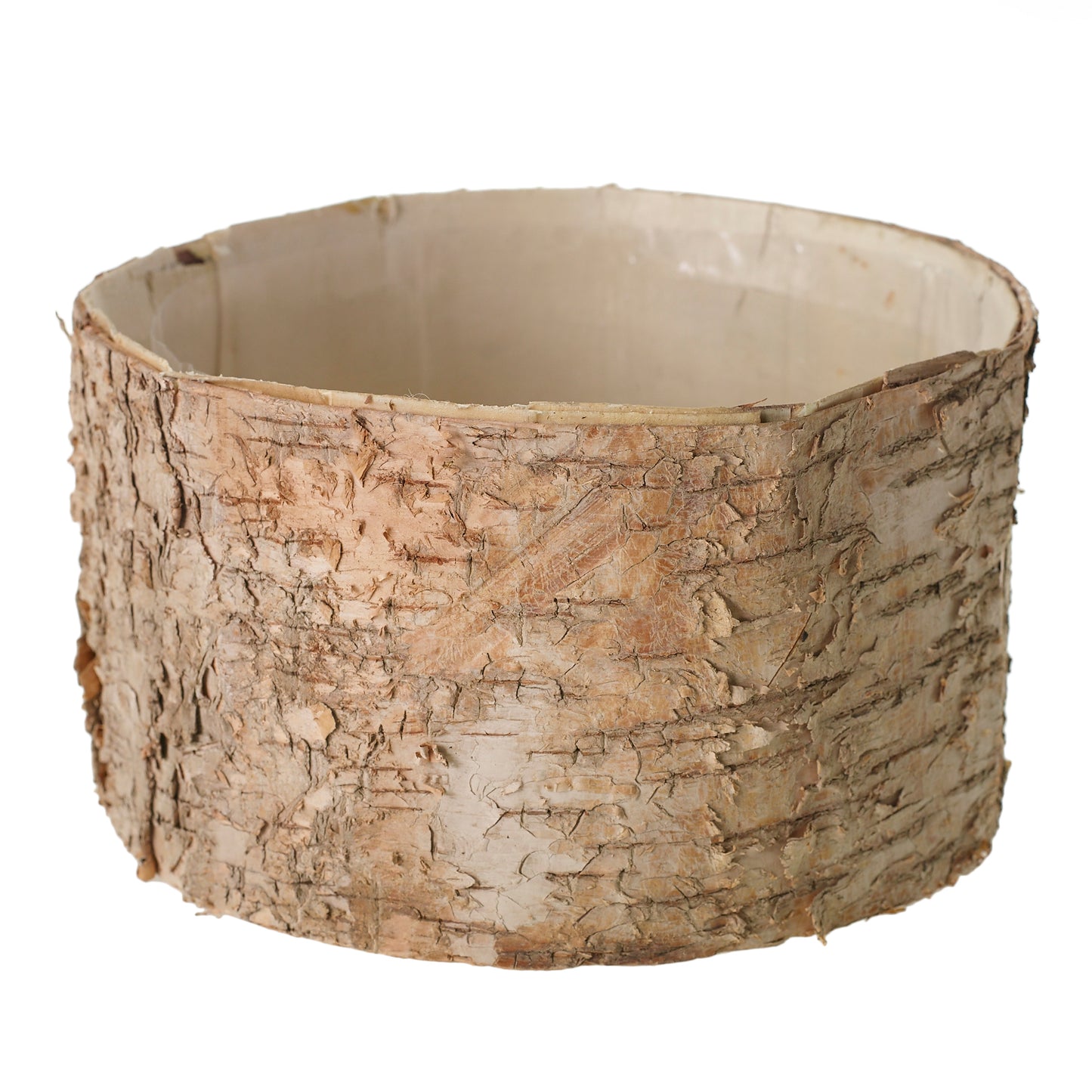 Birch Cylinder