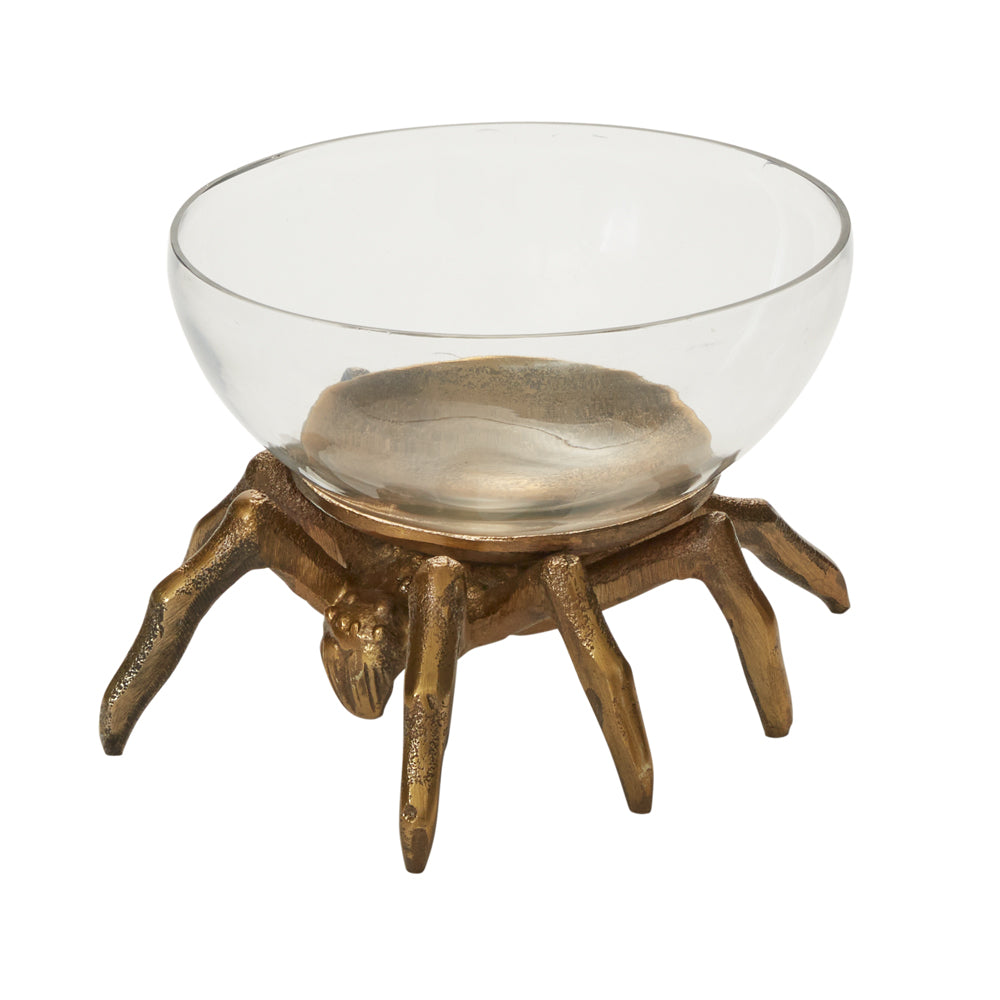 Arachnid Collection