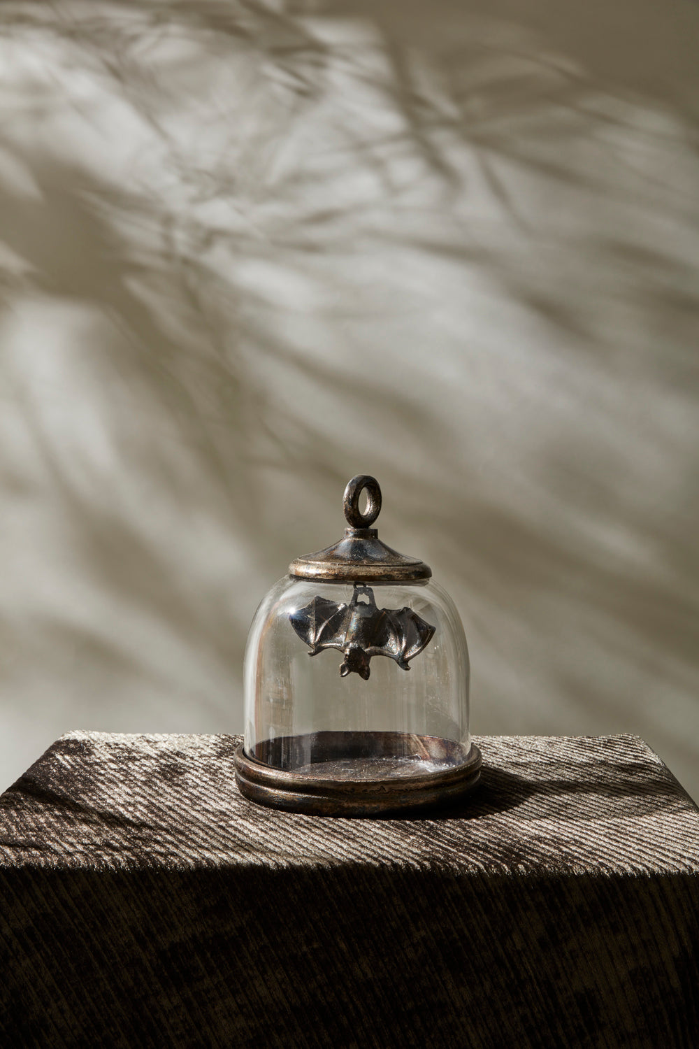 Bat Cave Cloche