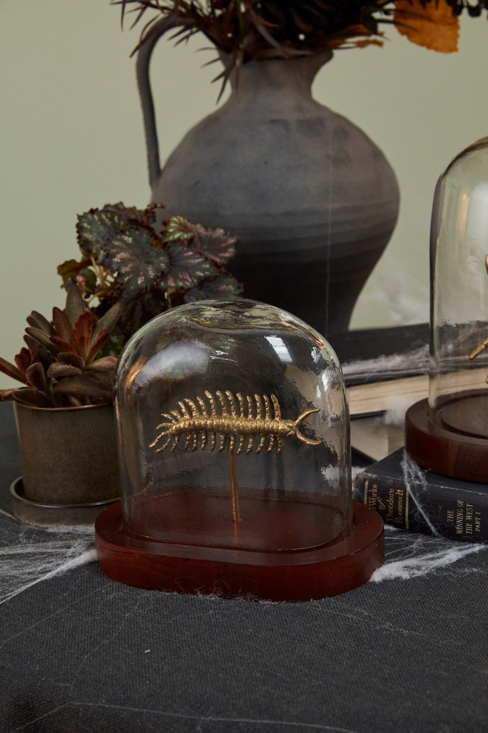 Specimen Cloche
