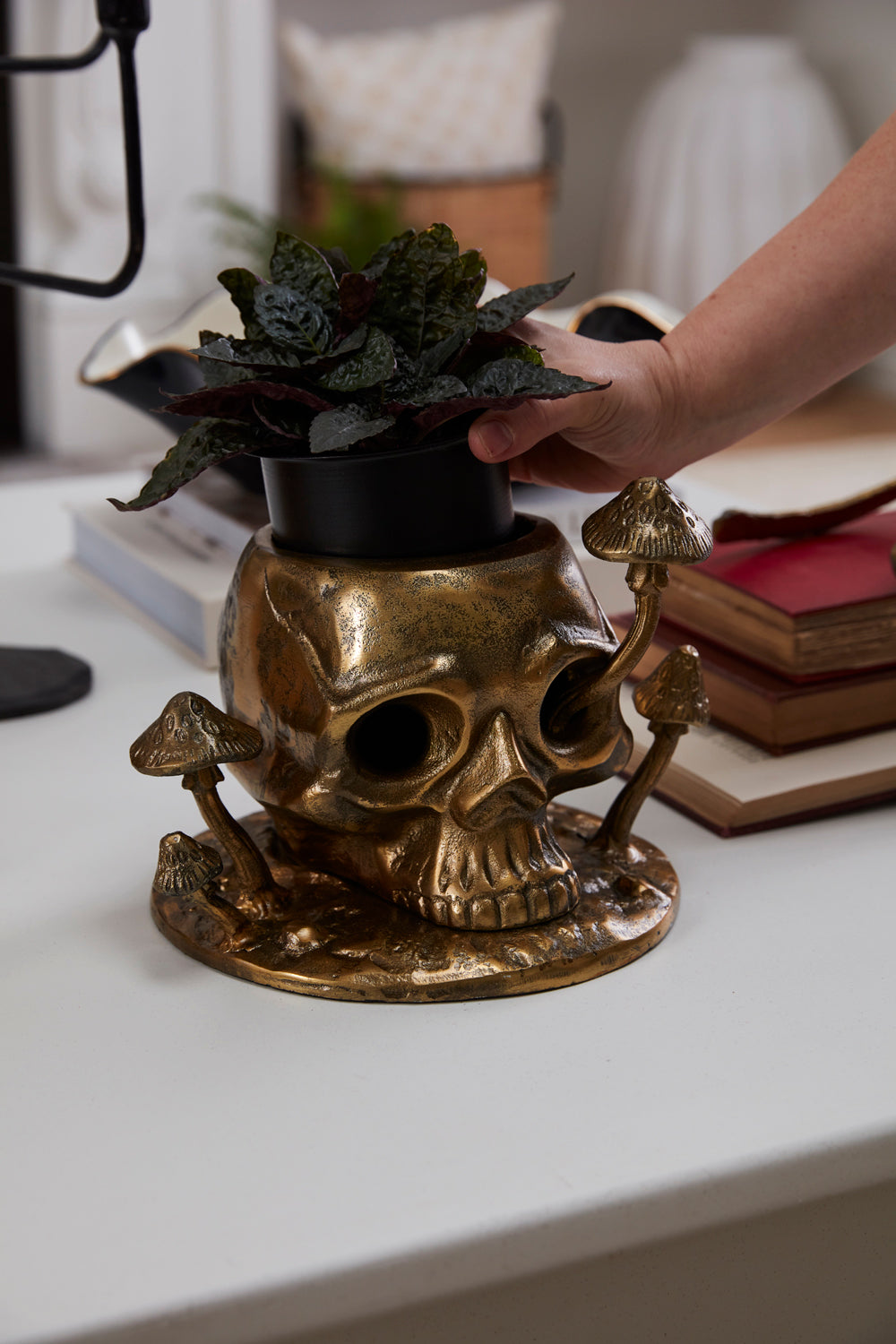 Cranium Pot