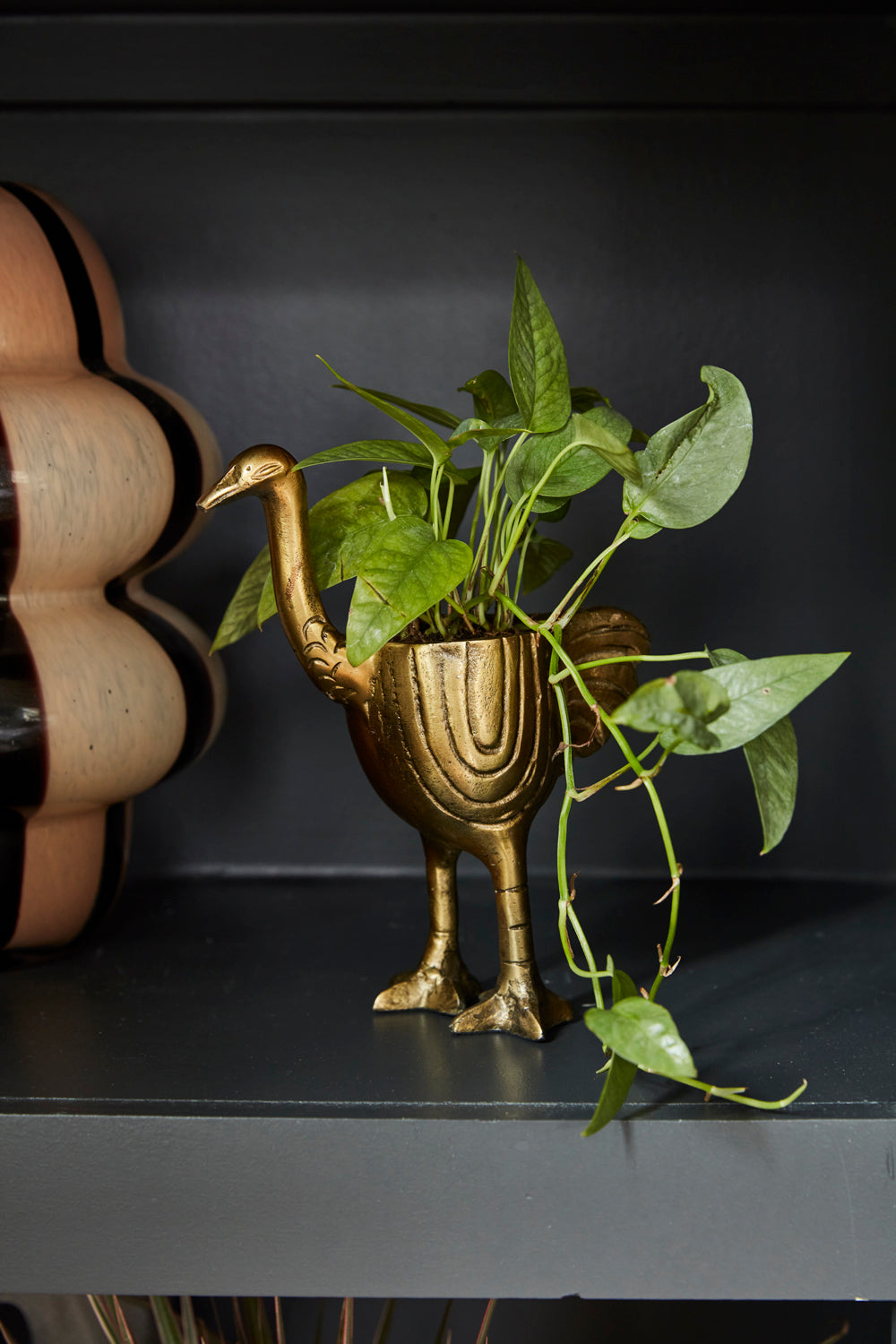 Ostrich Pot