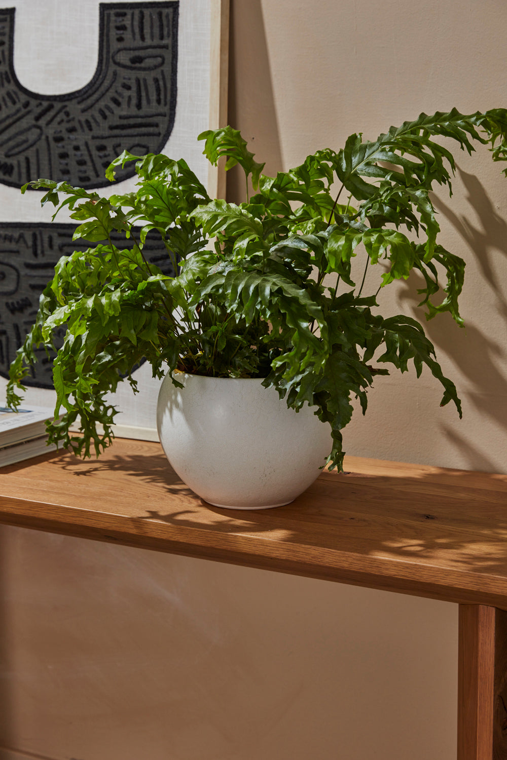 Mayu Pot