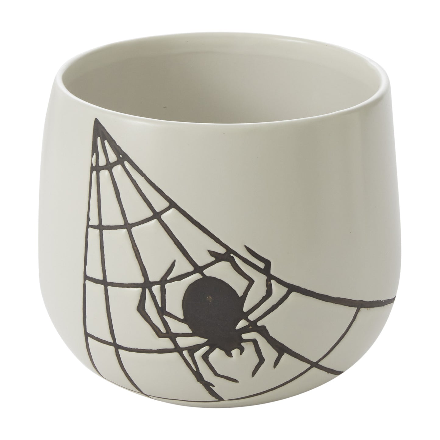 Spiderweb Collection