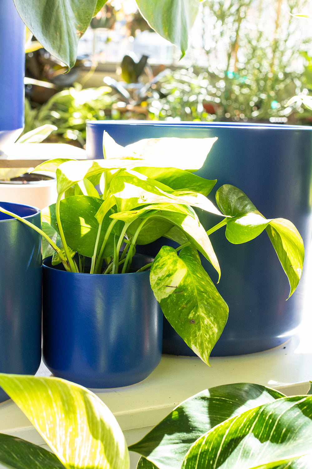 Kendall Pot