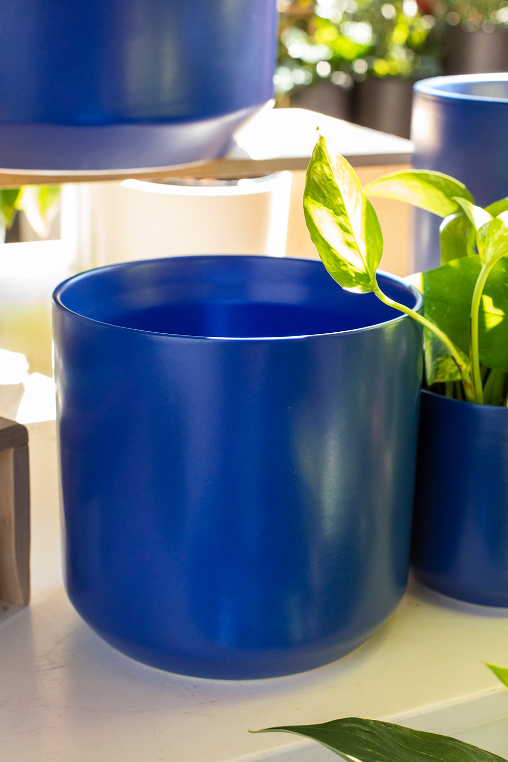 Kendall Pot
