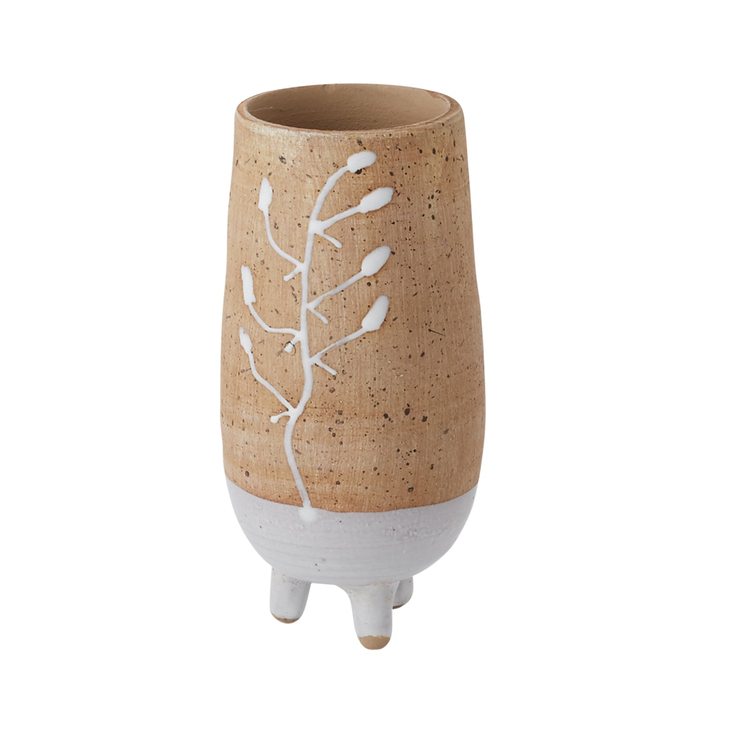Umbel Collection