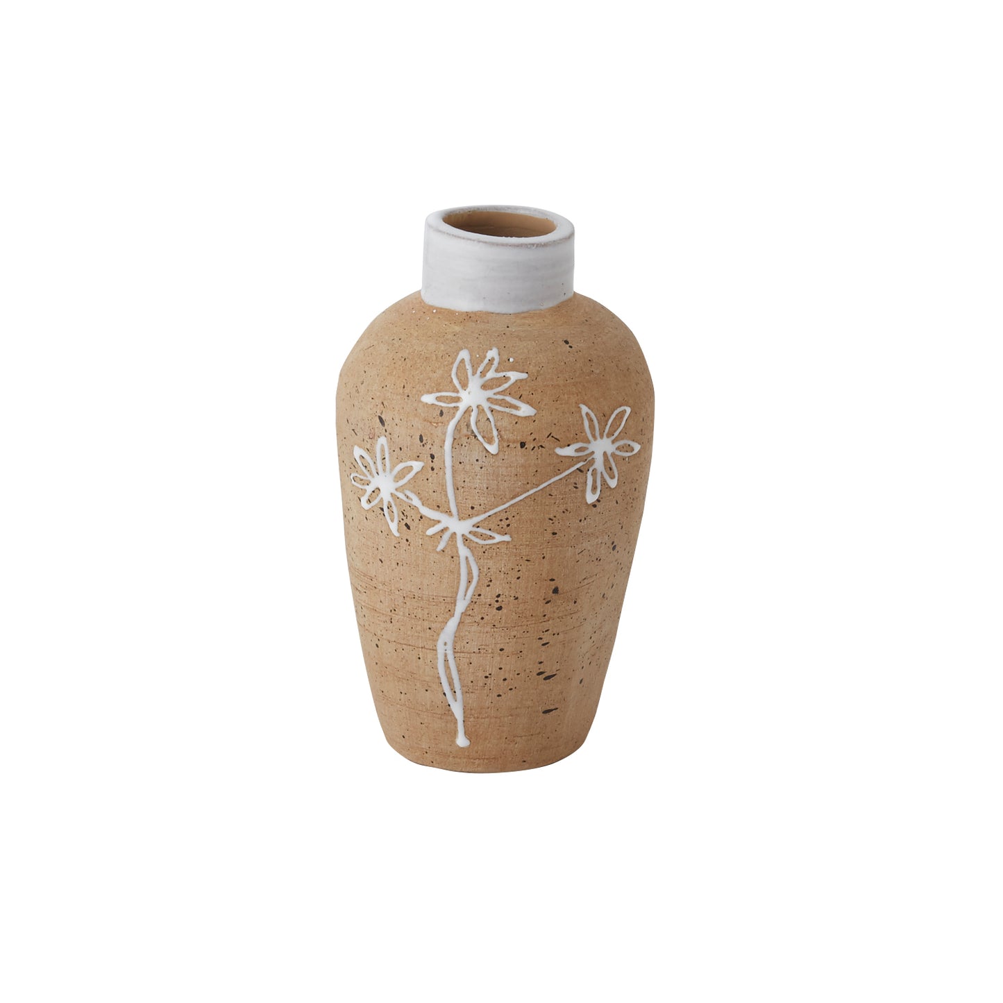 Umbel Collection