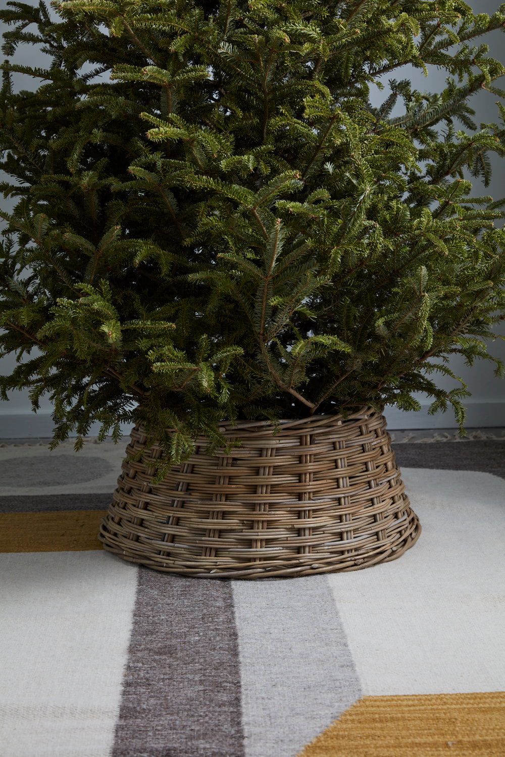 Abundance Tree Collar