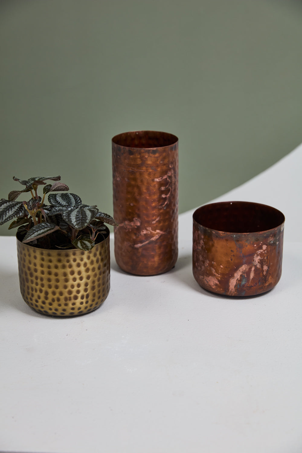 Alchemy Collection