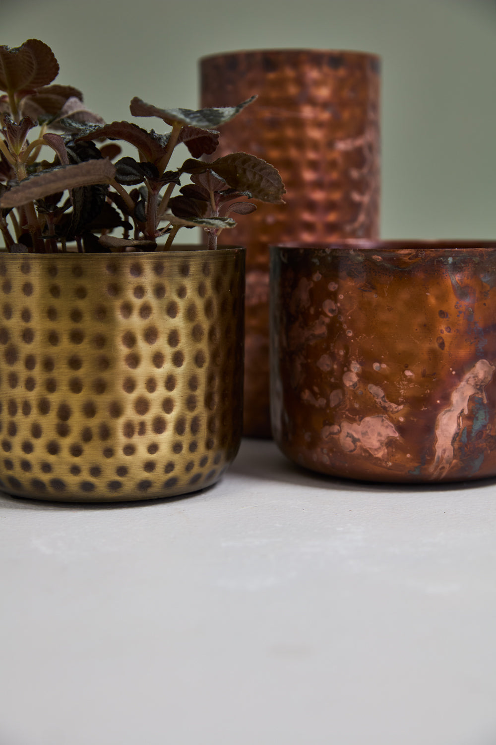 Alchemy Collection