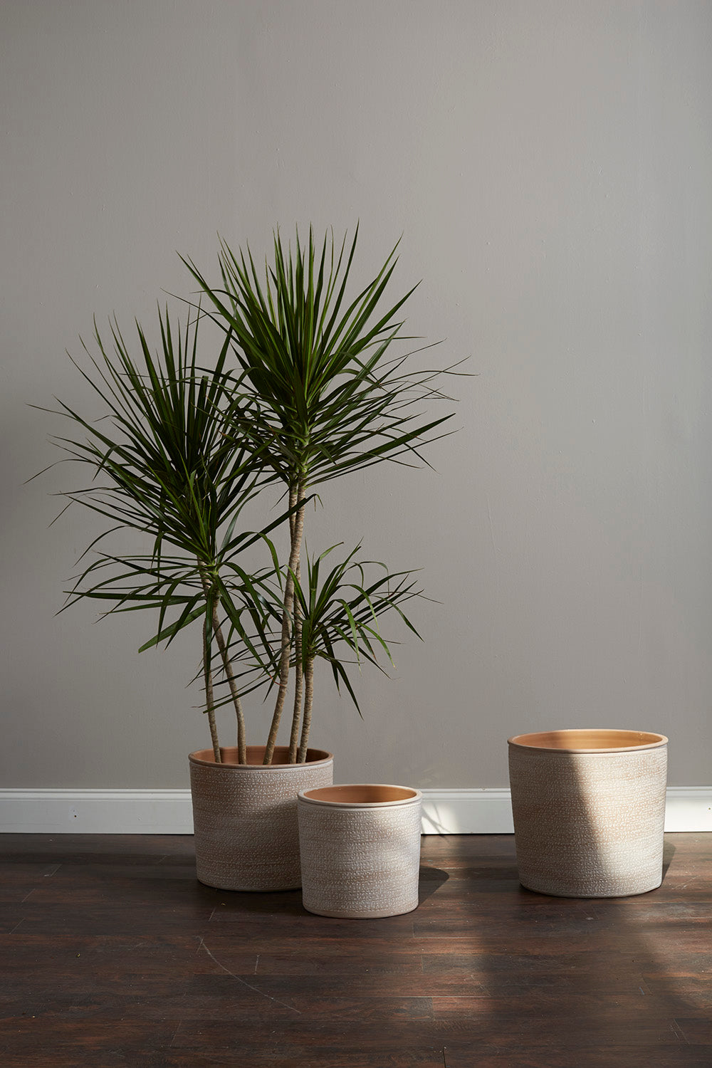 Aleppo Pot
