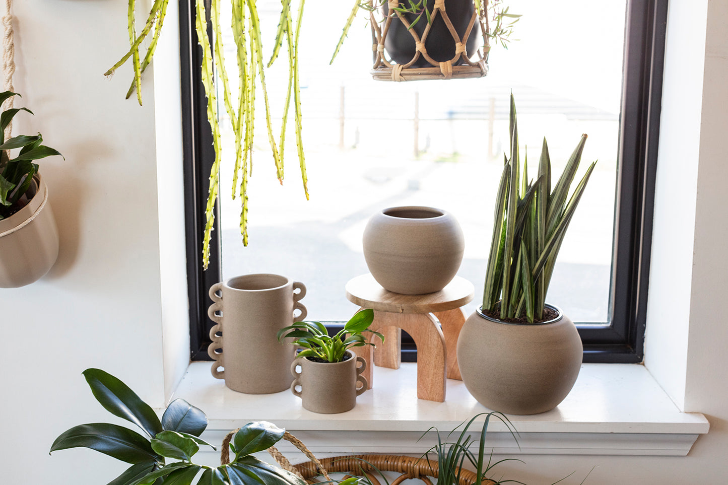 Alexander Pot