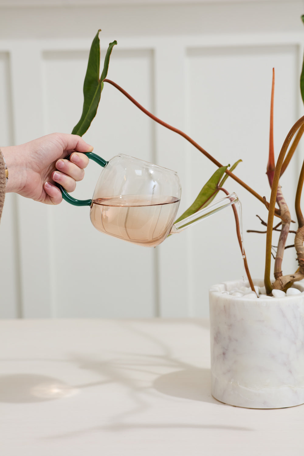 Alexis Watering Can