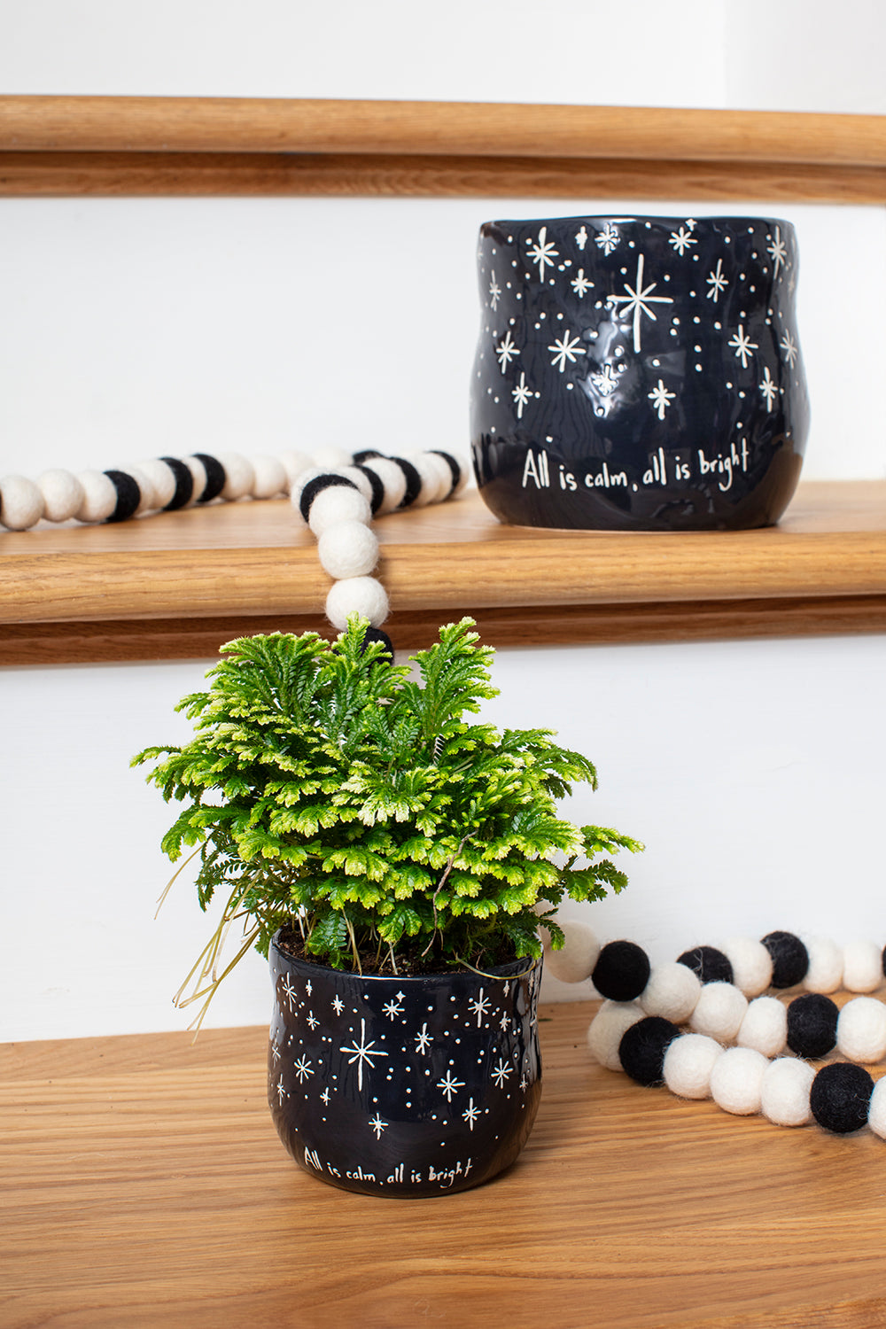 Alleluia Pot