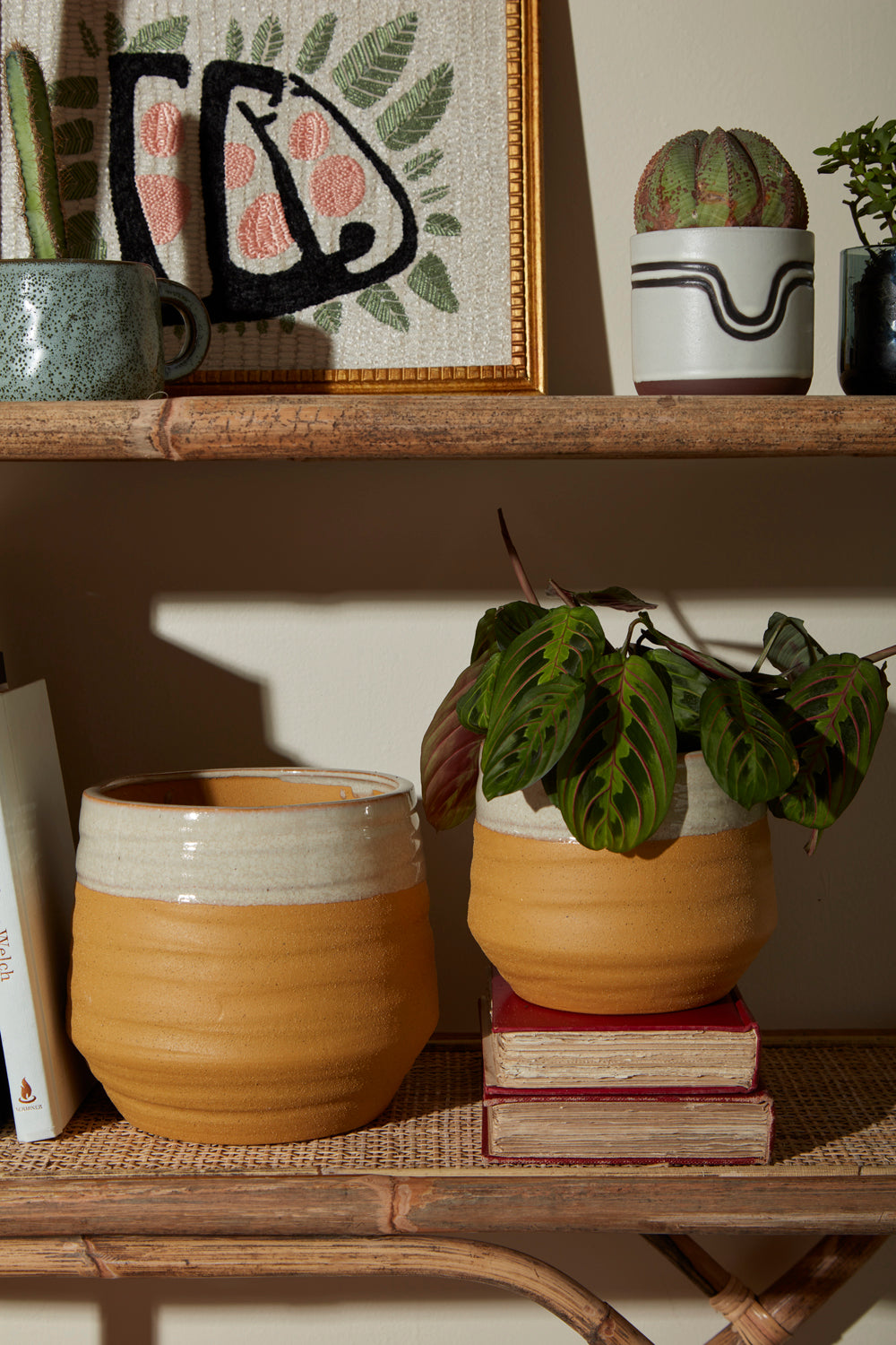 Altamira Pot