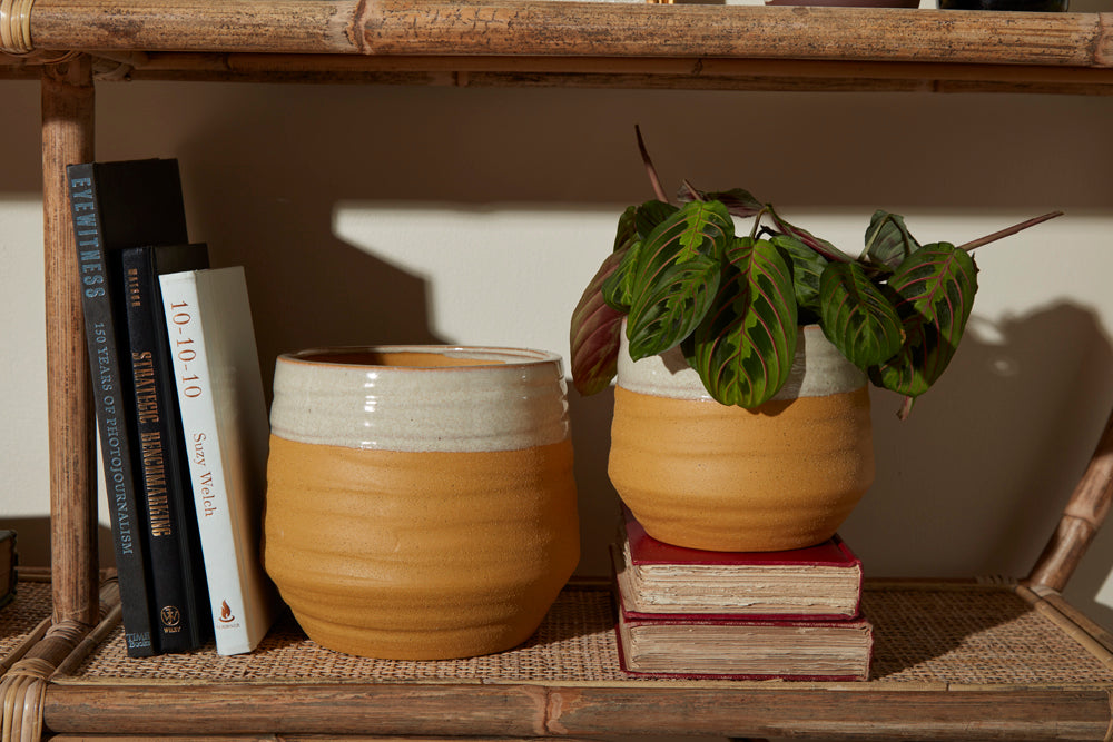 Altamira Pot