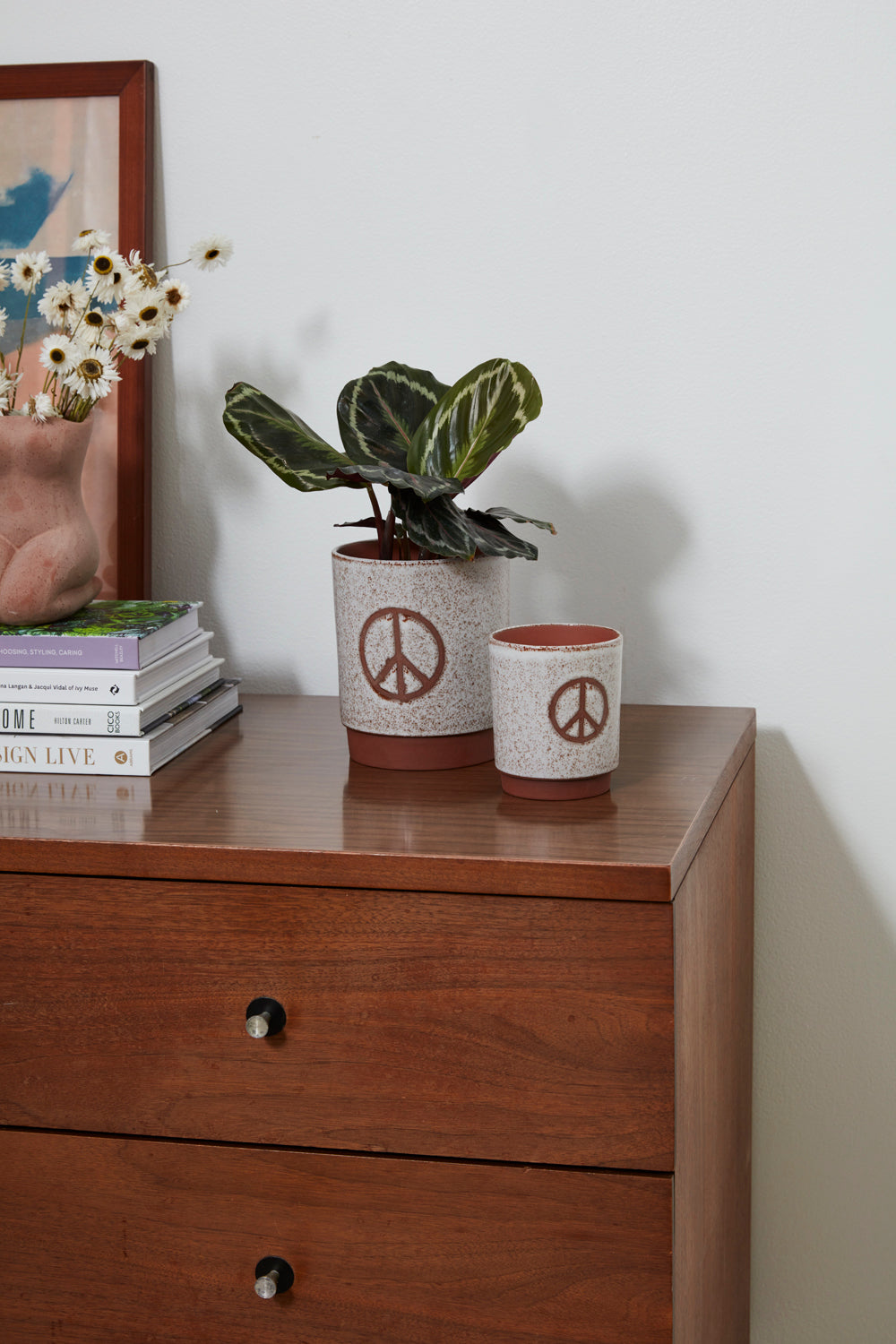 Amani Pot