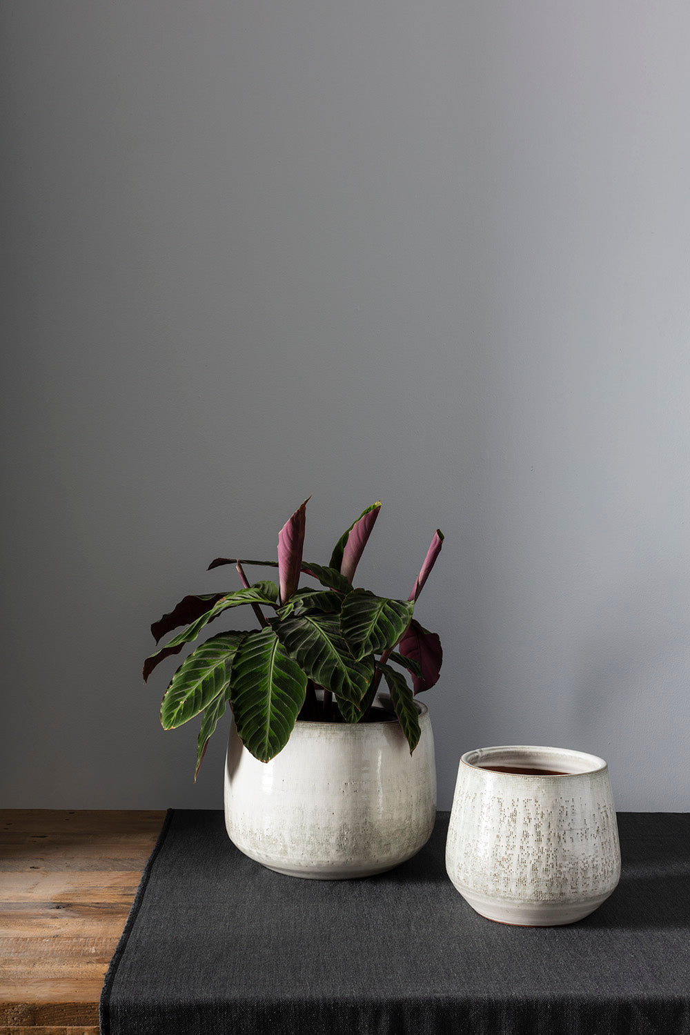 Anders Pot