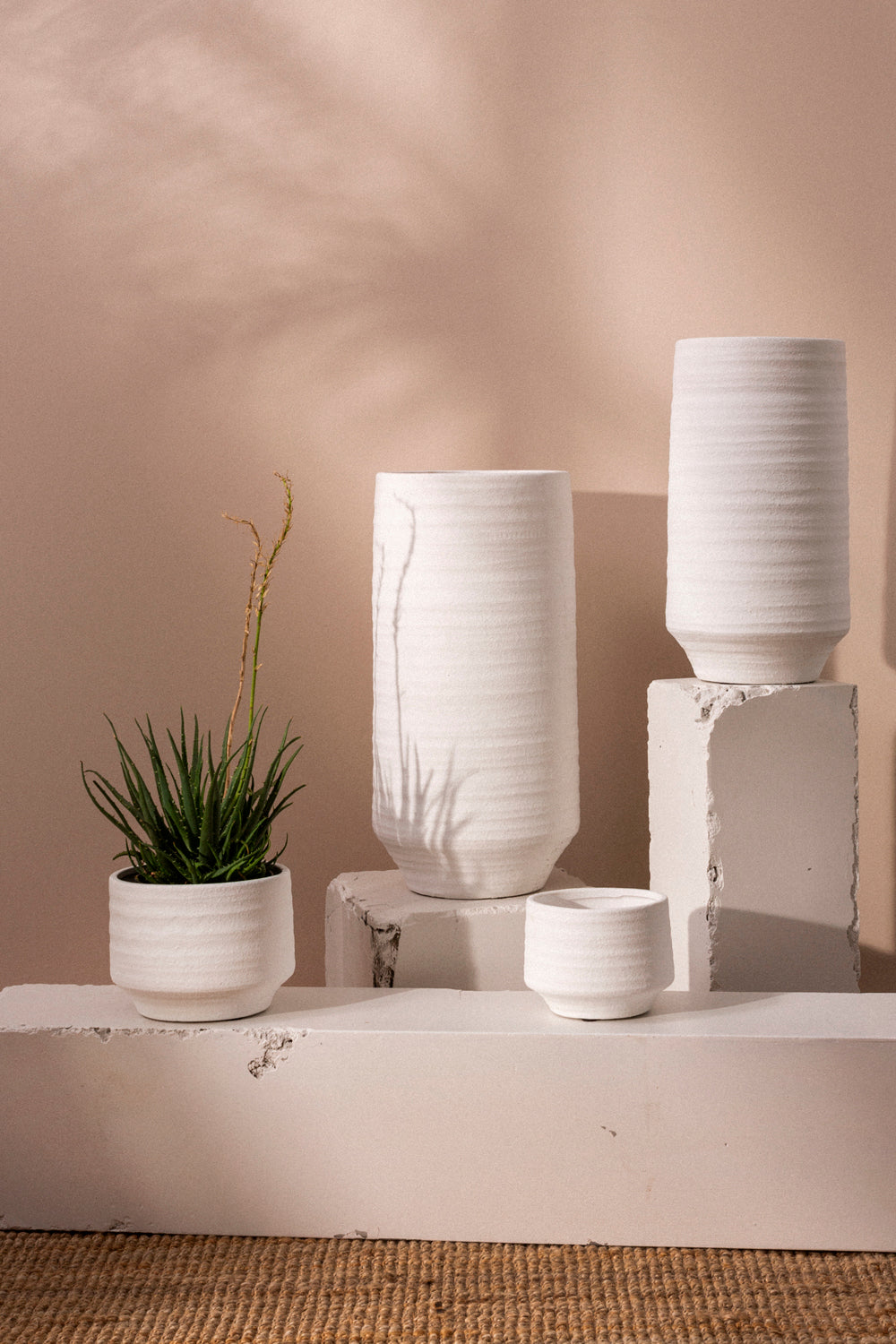 Andrade Collection