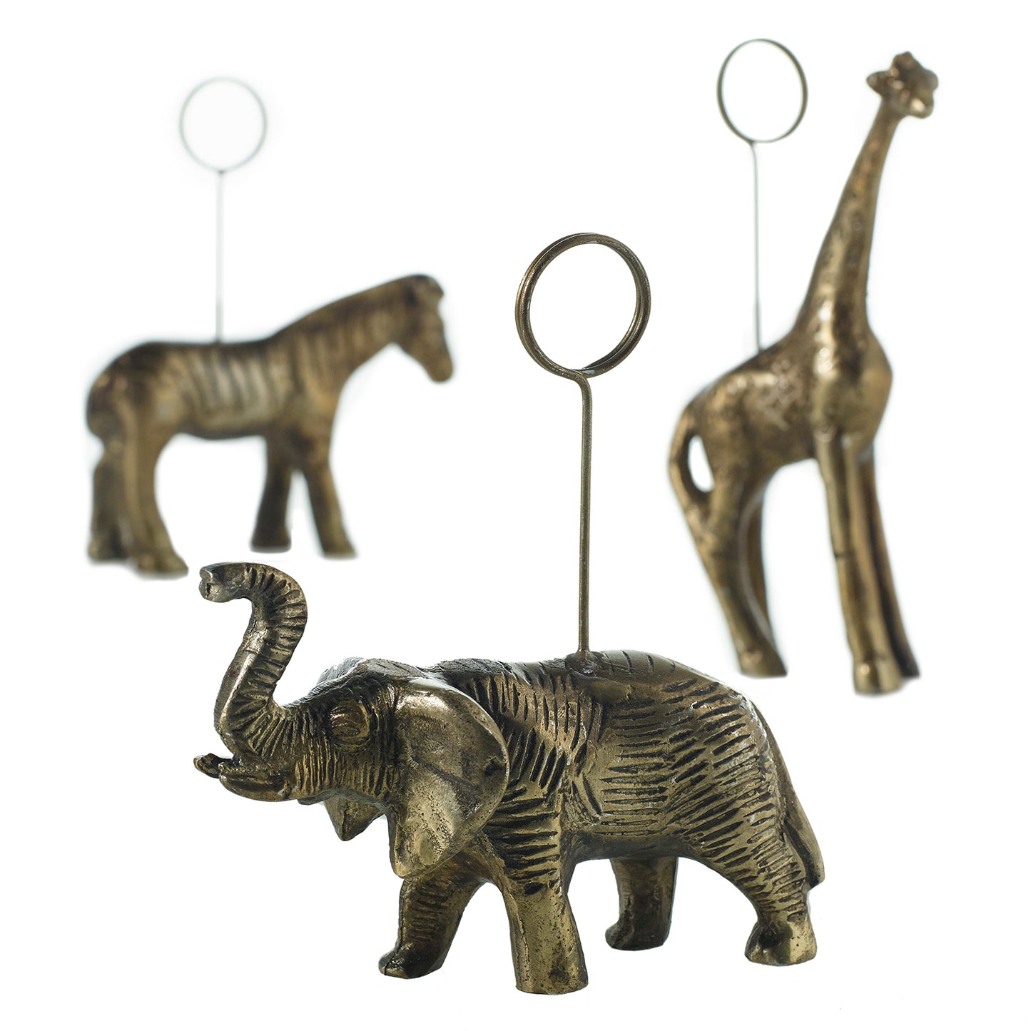 Animal Cardholder