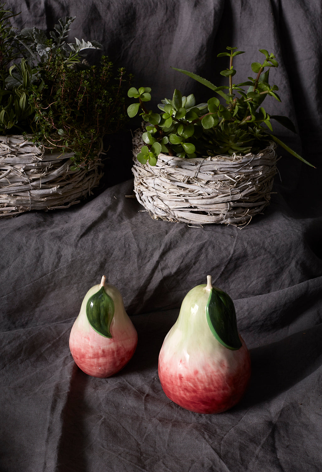 Anjou Pear