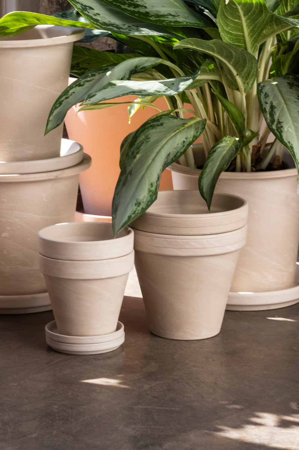Apollo Collection