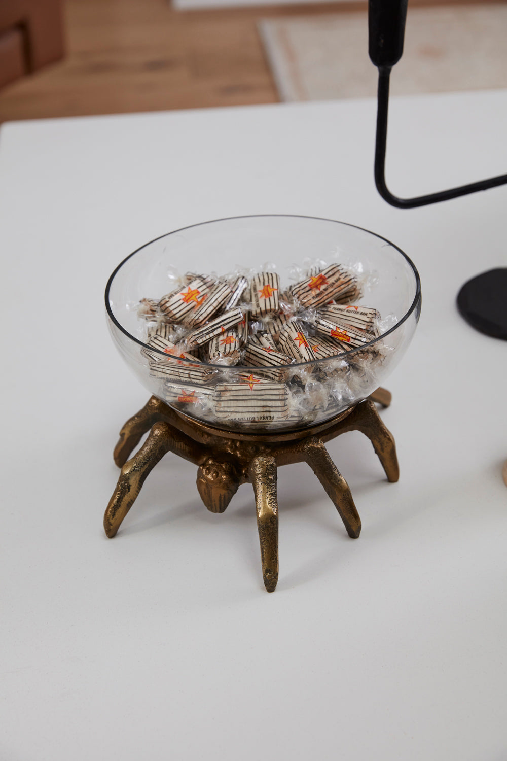 Arachnid Collection